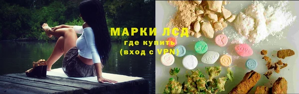 крисы Абаза