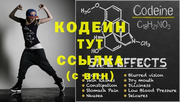 крисы Абаза