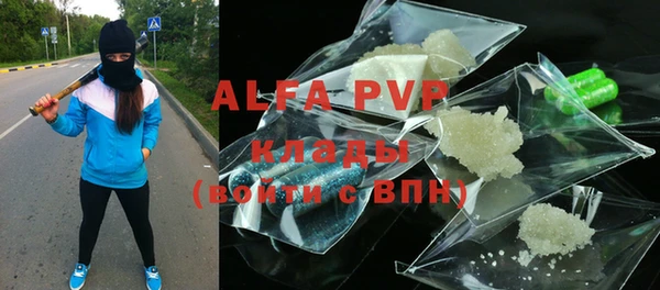 крисы Абаза