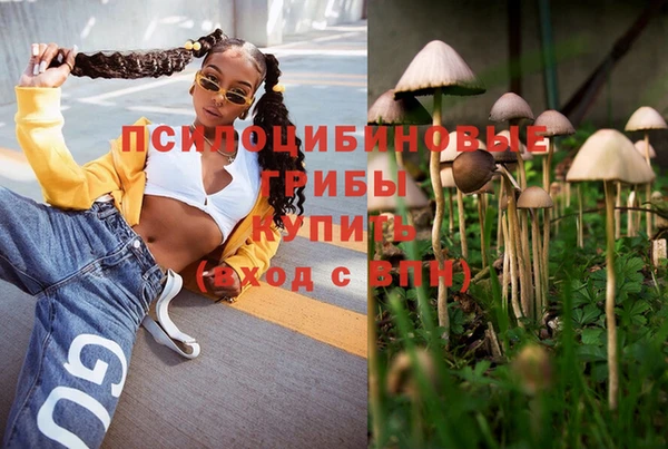 кокс Алексин