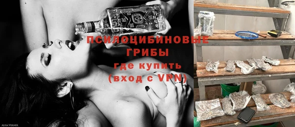 крисы Абаза