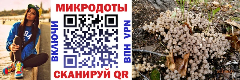 Псилоцибиновые грибы MAGIC MUSHROOMS  продажа наркотиков  Красноармейск 