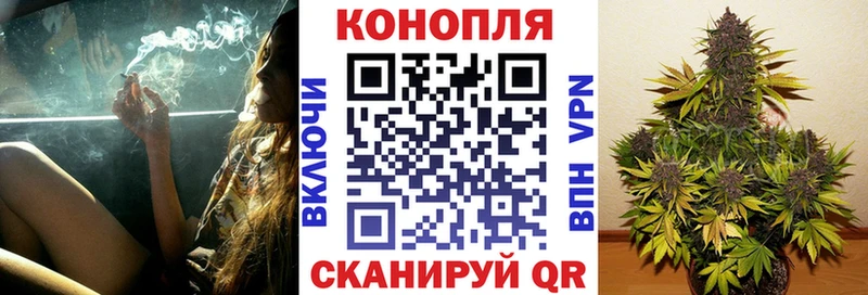 Конопля MAZAR Красноармейск